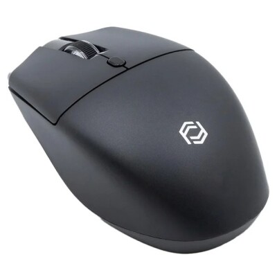 Frisby Kablosuz Mouse Siyah (FM-284WM)