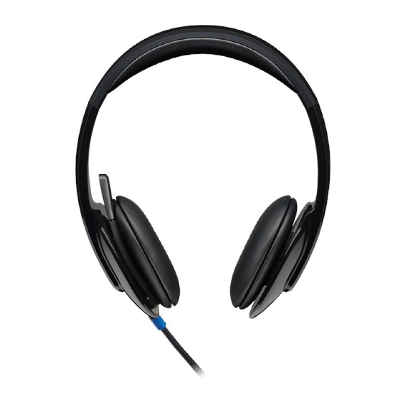Logitech H540 Kablolu Kulaklık 981-000480