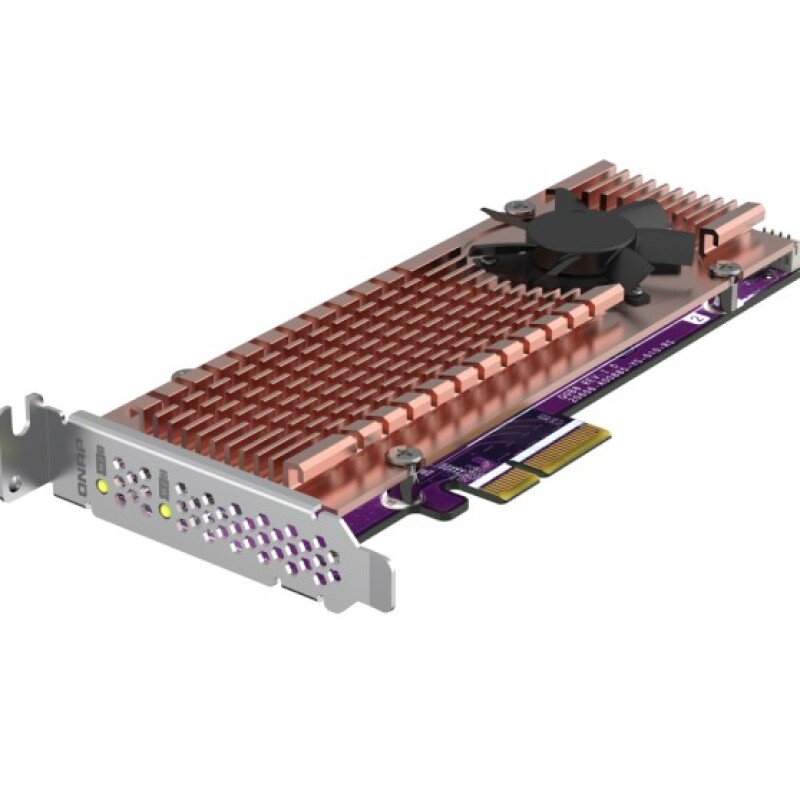 Qnap QM2-2P-244A Dual M.2 22110/2280 PCIe SSD Kart