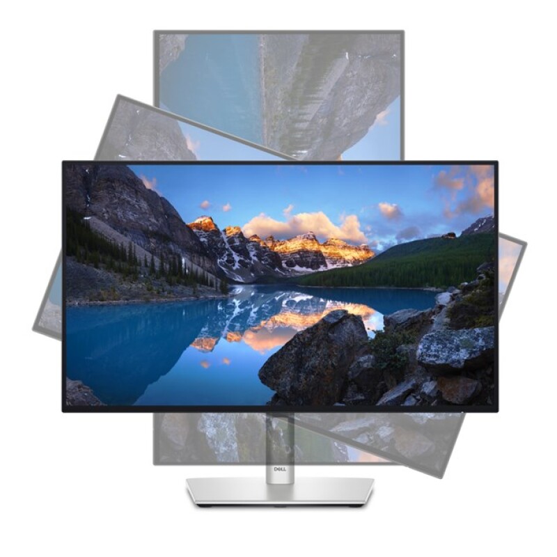 Dell Ultrasharp U2424HE 23.8'' 5m Type-C Pivot IPS